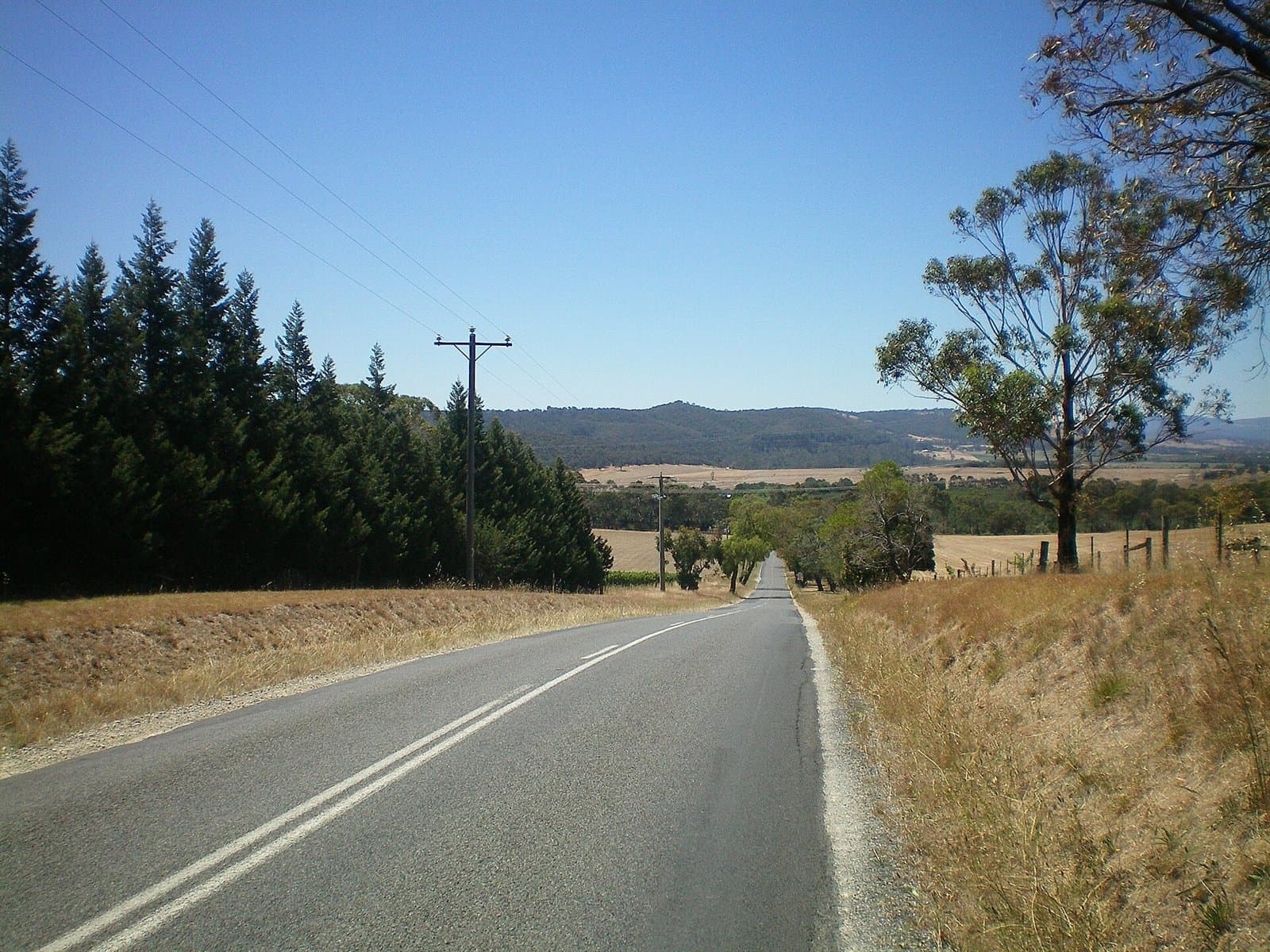 A two-lane road running between dry grass and pines towards distant hills