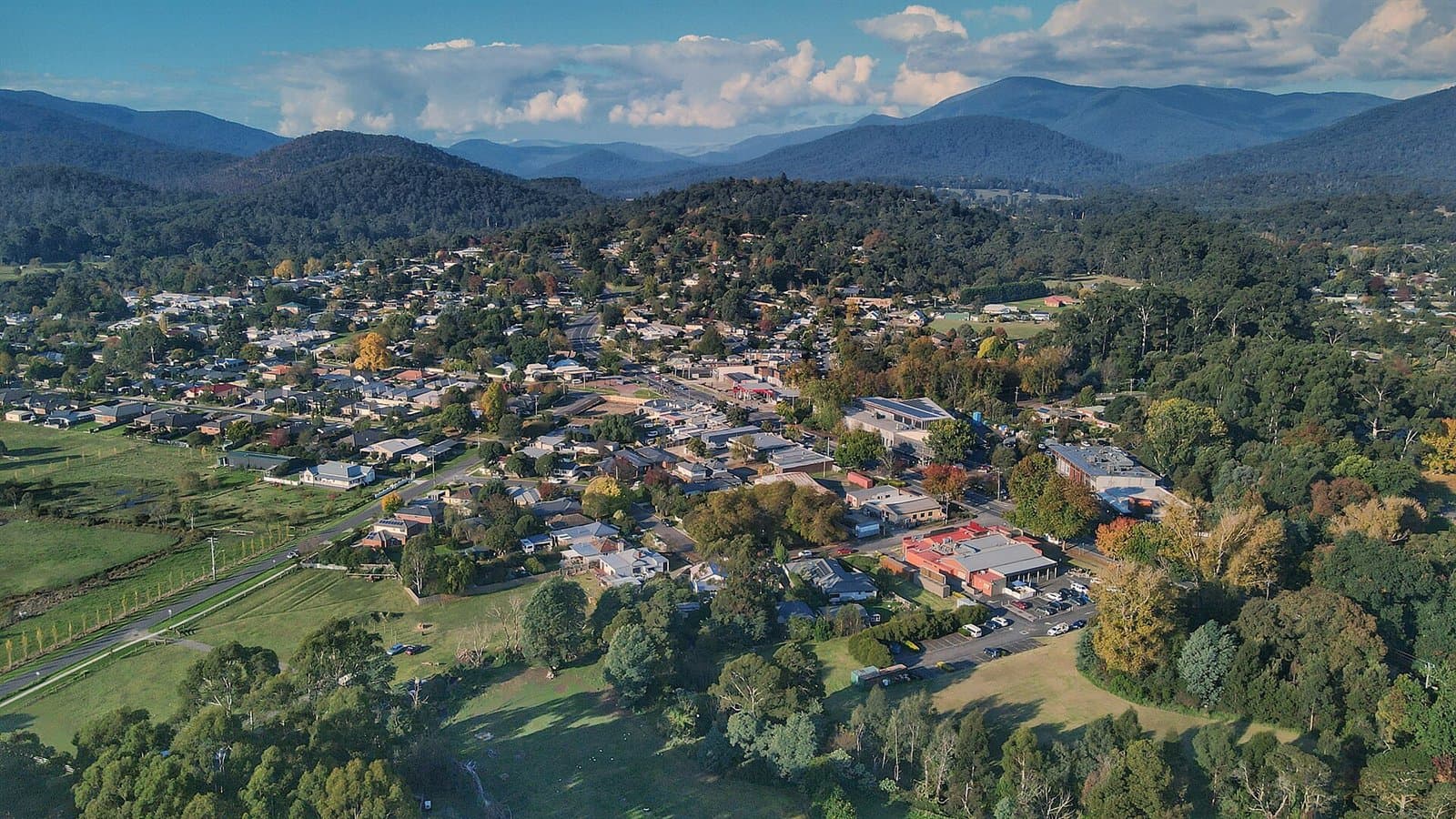 An aerial view of the town of Healesville among trees, with ranges behind
