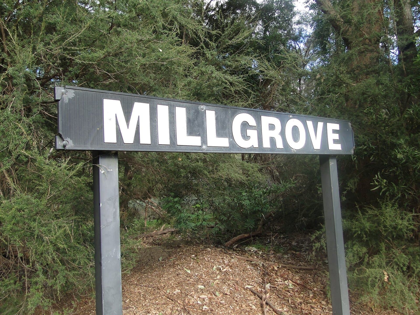 A black and white Millgrove station sign standing in the bush